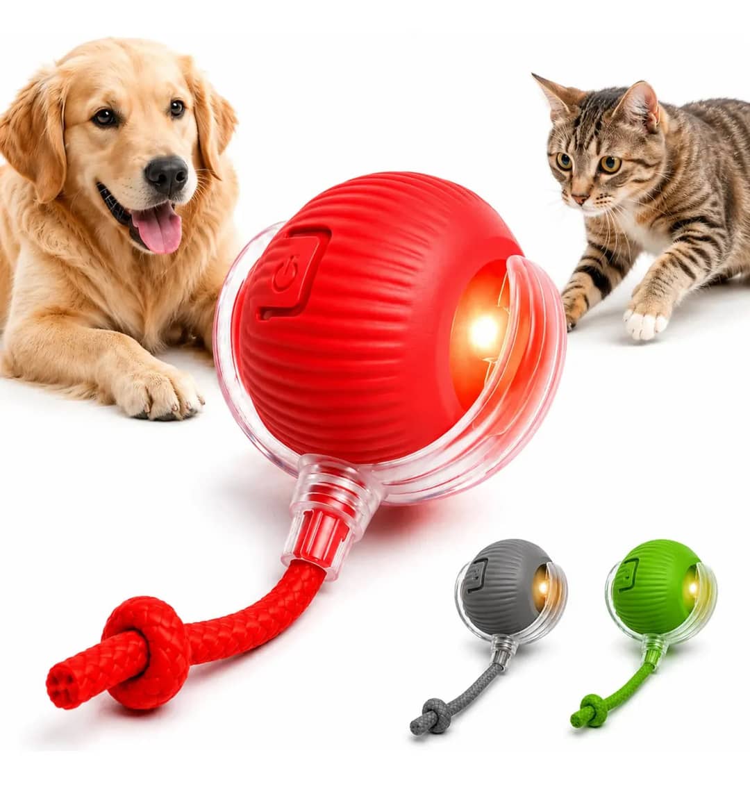 Bola Pet Inteligente Automática Giratória Recarregável Usb Brinquedo Cachorro Cão Gato Cauda Pets - Black Raipe Vermelha Sortido