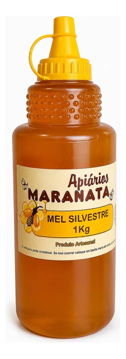 Mel De Abelha Puro Silvestre Maranata Bisnaga 1kg